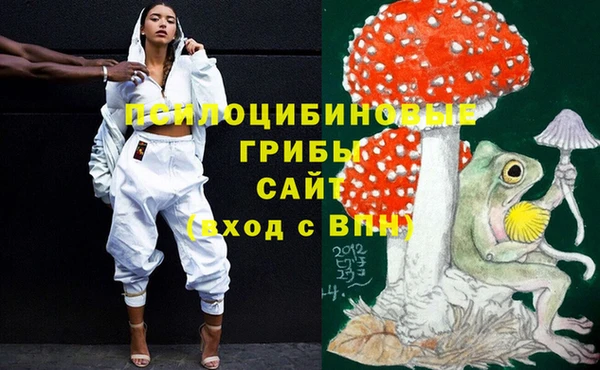 эйфоретик Алексин