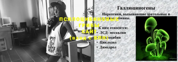 эйфоретик Алексин
