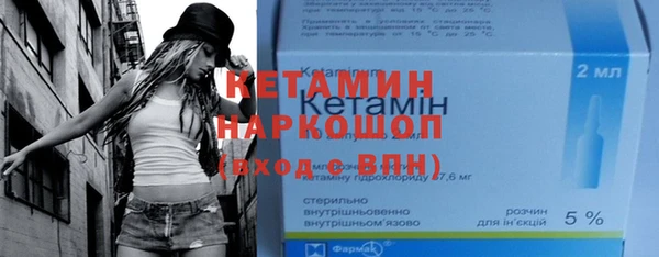 индика Саяногорск