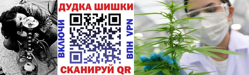 ссылка на мегу   Шуя  Марихуана Amnesia  цены  